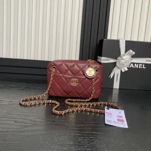 Chane1🔯24k camera bag AP7300