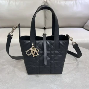 Dior Toujours vertical version handbag