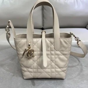 Dior Toujours vertical version handbag