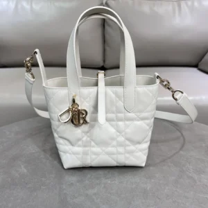 Dior Toujours vertical version handbag