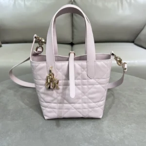 Dior Toujours vertical version handbag