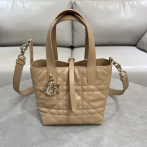 Dior Toujours vertical version handbag