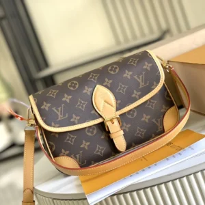 Louis Vuitton bag