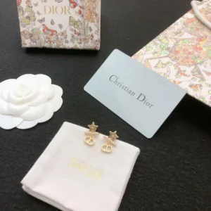 New Dior stud earrings