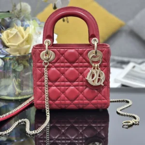 ❤️❤️Lady Dior