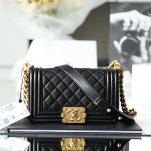 Upgraded Mini LeBoy Bag in Black Caviar Calfskin with Gold Hardware – 20CM Chip Edition
