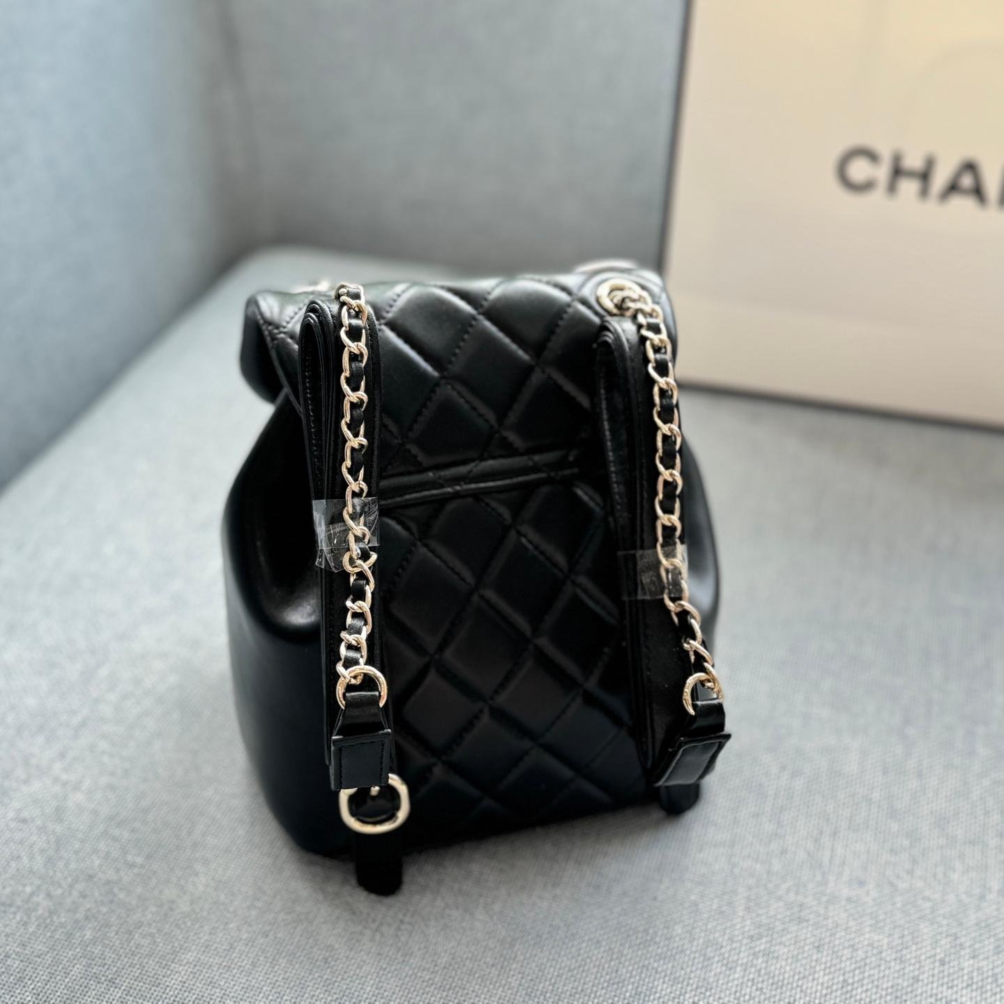 Mini Lambskin Duma Backpack – Chanel-Inspired Luxury in 18cm - 图片 3