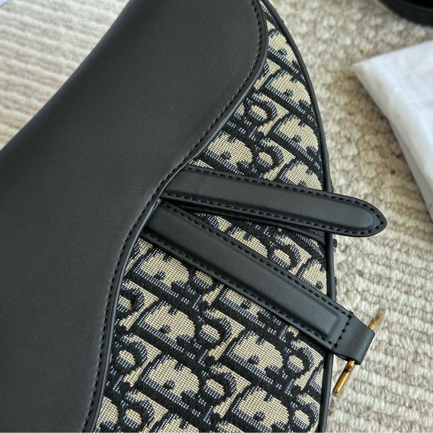 Dior-Inspired Saddle Bag with Oblique Canvas and Leather Strap – Iconic 25cm Design - 图片 2