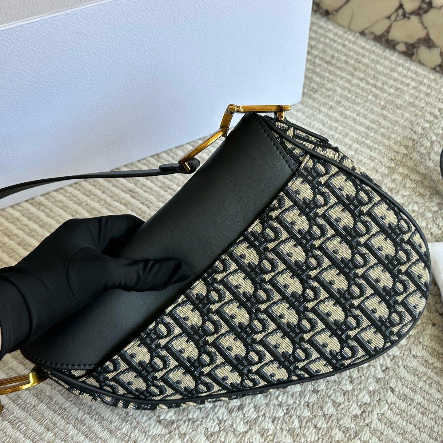 Dior-Inspired Saddle Bag with Oblique Canvas and Leather Strap – Iconic 25cm Design - 图片 5
