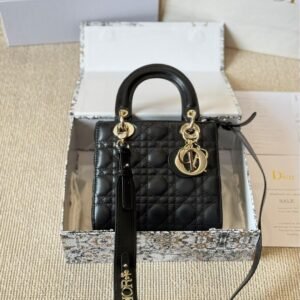 Dior Lady Lambskin Handbag – Classic Matte Finish with Gold Hardware 20CM