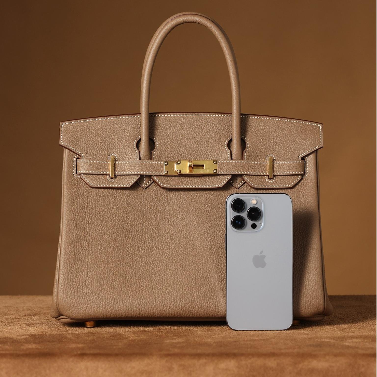 Birkin Elephant Grey Togo Leather 25CM/30CM - 图片 2