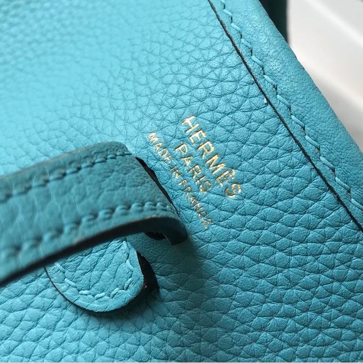 Evelyne Northern Blue Togo Leather Gold Hardware 18CM - 图片 7
