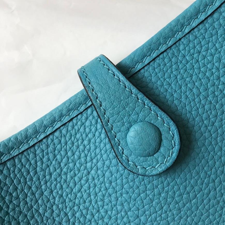Evelyne Northern Blue Togo Leather Gold Hardware 18CM - 图片 8