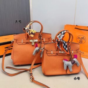 Birkin 25 & 30 in Classic Orange Togo Leather – The Signature Bag of Timeless Authority