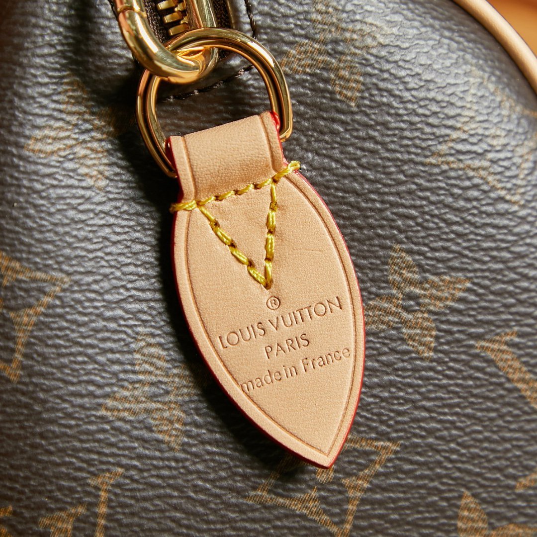 Speedy Brown Coated Canvas 20CM - 图片 6
