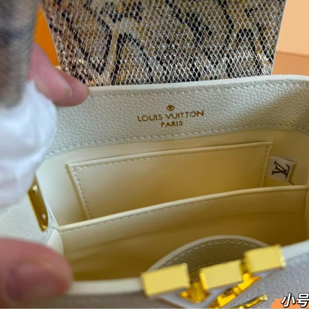 Luxury LV Capucines Mini Handbag with Python Handle & Chain Detail 20CM - 图片 9